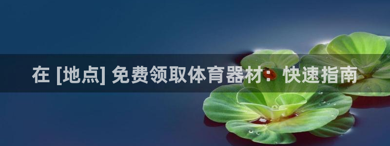 新城娱乐平台官网登录入口网址：在 [地点] 免费领取