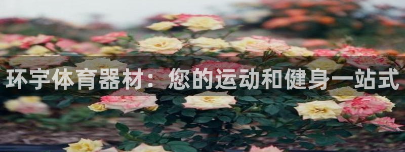新城娱乐出款快吗是真的吗：环宇体育器材：您的运动和健