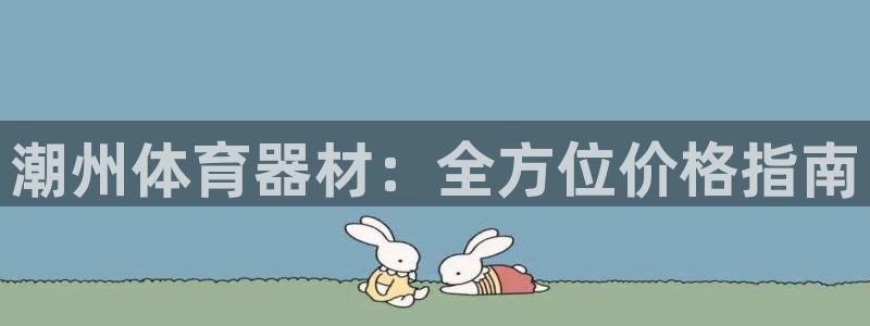 新城圣主：潮州体育器材：全方位价格指南