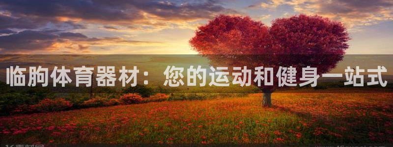 新城平台客服24小时在线咨询：临朐体育器材：您的运动