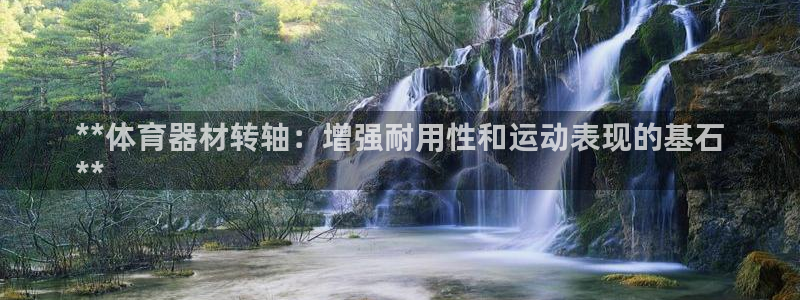 新城娱乐：**体育器材转轴：增强耐用性和运动表现的基