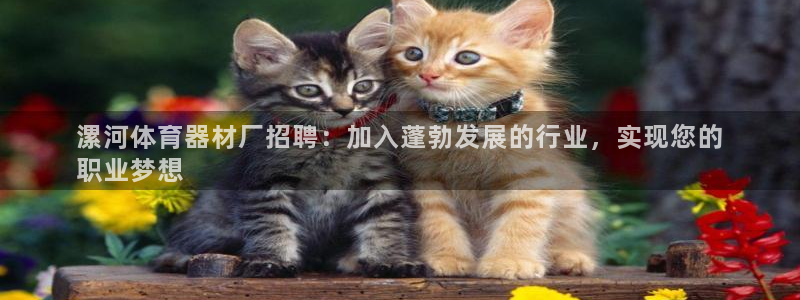 新城平台开户联4.8.7.7.8.4他系稳定吗