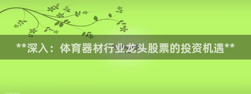 新城娱乐返点多少钱：**深入：体育器材行业龙头股票的