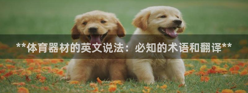新城娱乐能提现吗现在多少钱：**体育器材的英文说法：