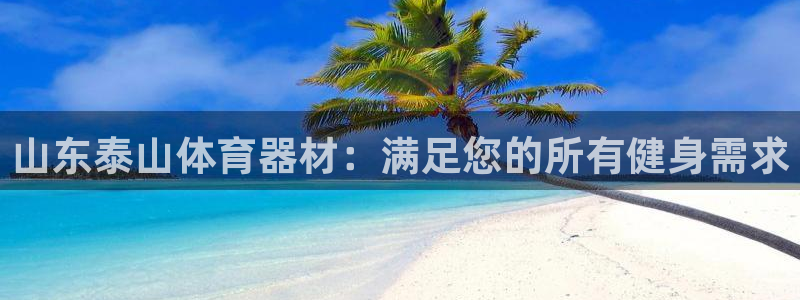 新城集团王总：山东泰山体育器材：满足您的所有健身需求