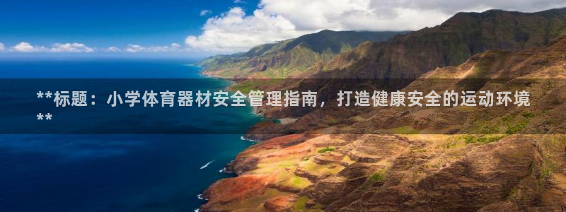 新城天下的微信名字好吗：**标题：小学体育器材安全管