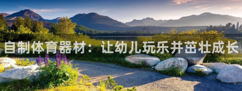 新城平台注册步骤：自制体育器材：让幼儿玩乐并茁壮成长