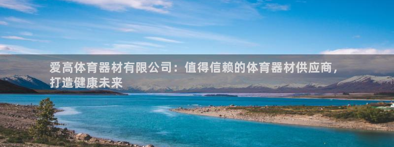 新城娱乐然 37OO735：爱高体育器材有限公司：值