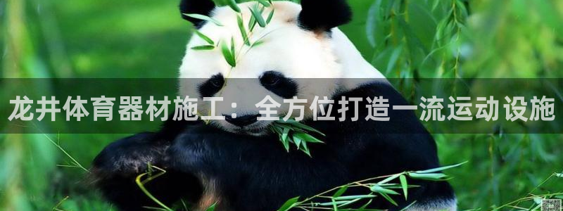 新城娱乐注册官网入口：龙井体育器材施工：全方位打造一