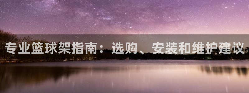 新城登场之类的广告词：专业篮球架指南：选购、安装和维