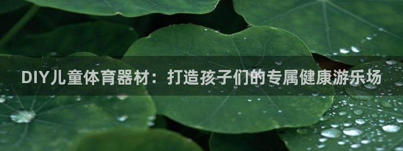新城平台总代理：DIY儿童体育器材：打造孩子们的专属健康游乐