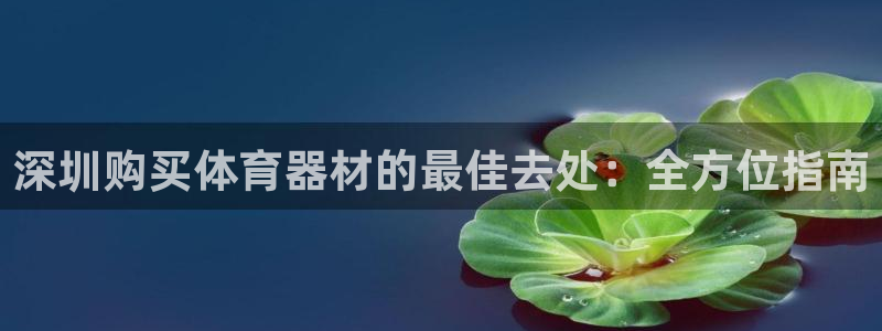 新城娱乐含山县：深圳购买体育器材的最佳去处：全方位指