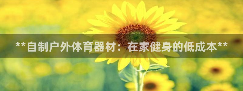 新城微光曲谱：**自制户外体育器材：在家健身的低成本