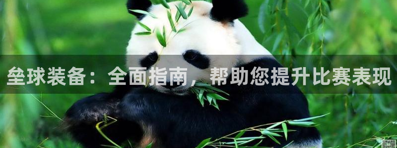 新城娱乐提现失败原因：垒球装备：全面指南，帮助您提升