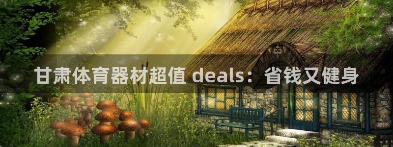新城平台最新注册地址在哪里：甘肃体育器材超值 dea