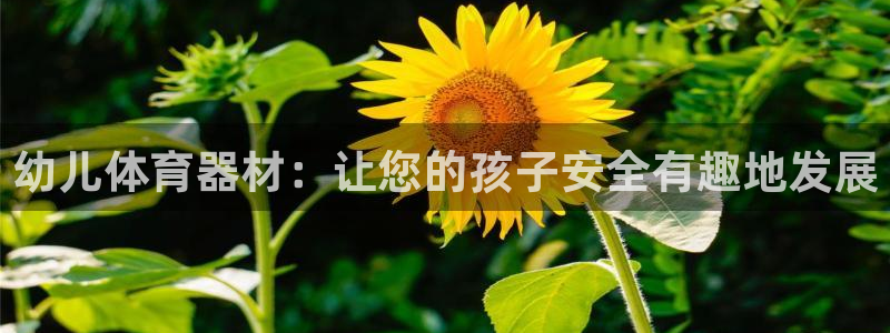 新城平台卜6.7.5.1.3.8：幼儿体育器材：让您