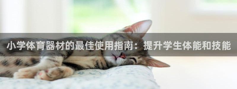 新城娱乐app下载安装最新版：小学体育器材的最佳使用