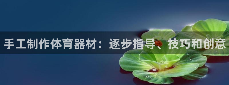 新城娱乐间7O777：手工制作体育器材：逐步指导、技