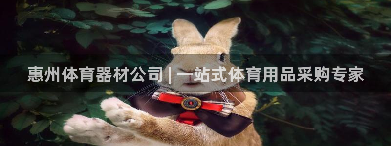 新城娱乐在线登录官网入口：惠州体育器材公司 | 一站式体育用
