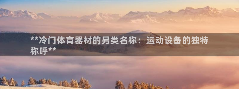 新城集团是什么电影：**冷门体育器材的另类名称：运动
