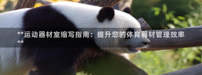 新城第二关：**运动器材室缩写指南：提升您的体育器材