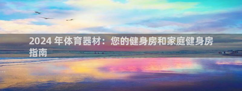 新城平台先 585341 新城：2024 年体育器材