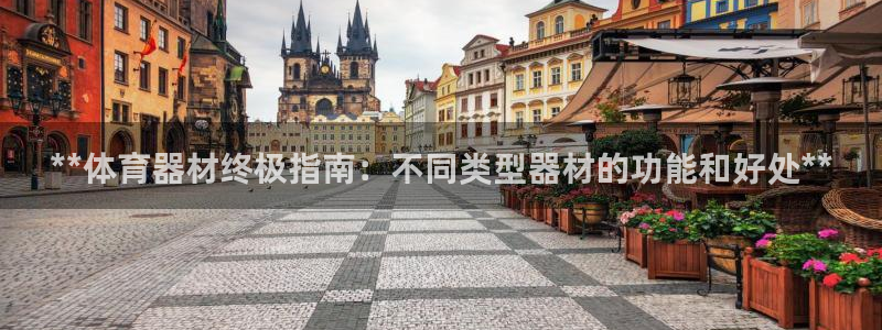 新城意思是什么：**体育器材终极指南：不同类型器材的