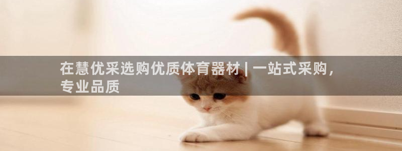 新城璀璨什么意思：在慧优采选购优质体育器材 | 一站