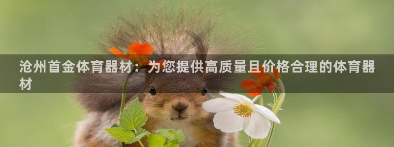新城平台注册：沧州首金体育器材：为您提供高质量且价格