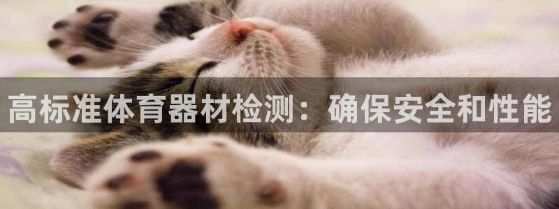新城集团总部在哪儿：高标准体育器材检测：确保安全和性