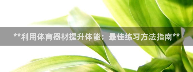 新城娱乐网站官网：**利用体育器材提升体能：最佳练习