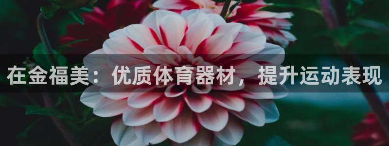 新城平台最新注册地址是哪里的：在金福美：优质体育器材
