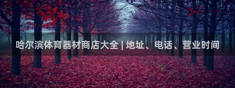 新城平台合作 585341：哈尔滨体育器材商店大全 