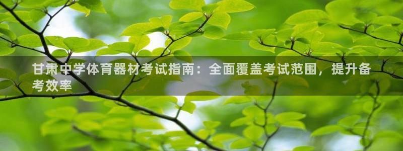 新城盛典下载：甘肃中学体育器材考试指南：全面覆盖考试范围，提