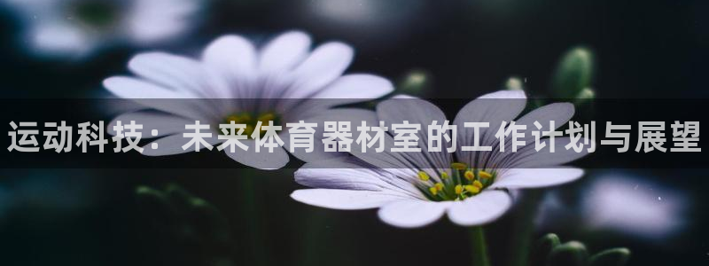 新城娱乐app下载安装手机版