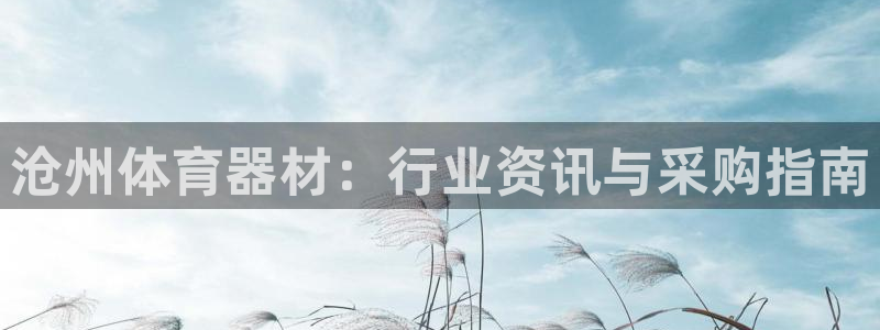 新城娱乐app下载安装最新版：沧州体育器材：行业资讯