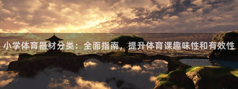 新城娱乐是不是赚钱快：小学体育器材分类：全面指南，提