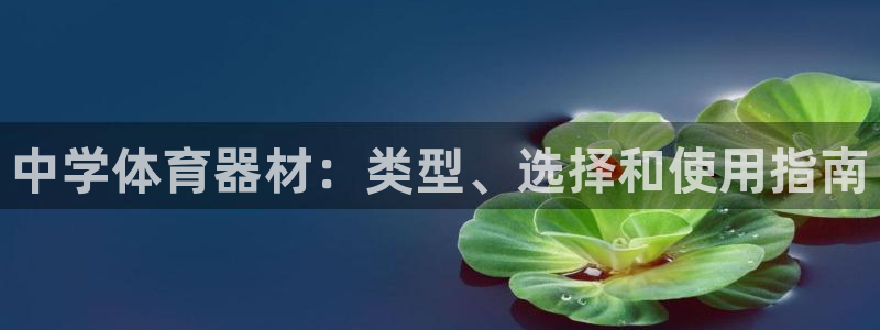 新城娱乐平台官网登录：中学体育器材：类型、选择和使用