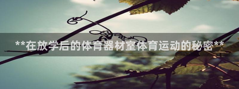 新城平台主管：**在放学后的体育器材室体育运动的秘密
