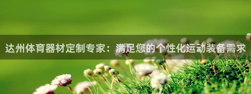 新城娱乐是什么：达州体育器材定制专家：满足您的个性化